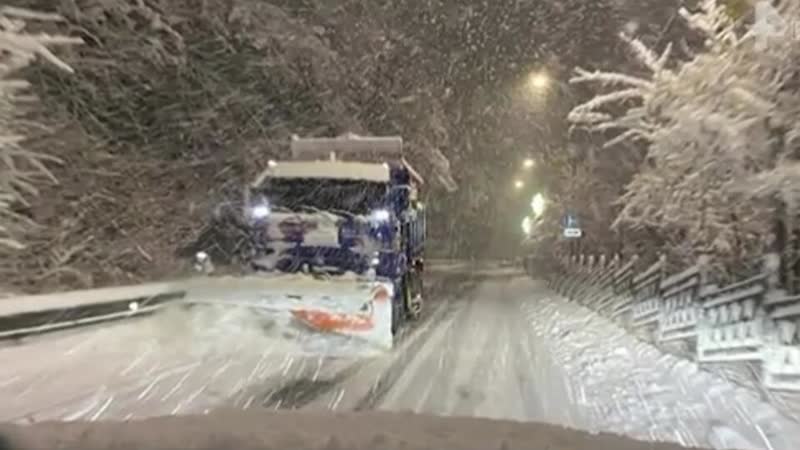 Нет, кроме снега, ничего