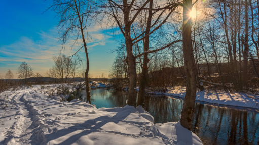 Февраль уходит понемногу