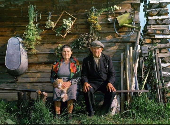 Вымирает деревня по дикому