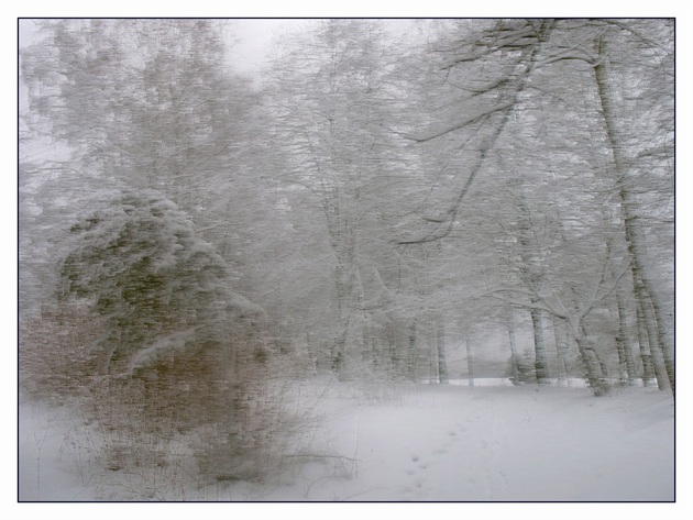 Взбалмошный вьюжит февраль