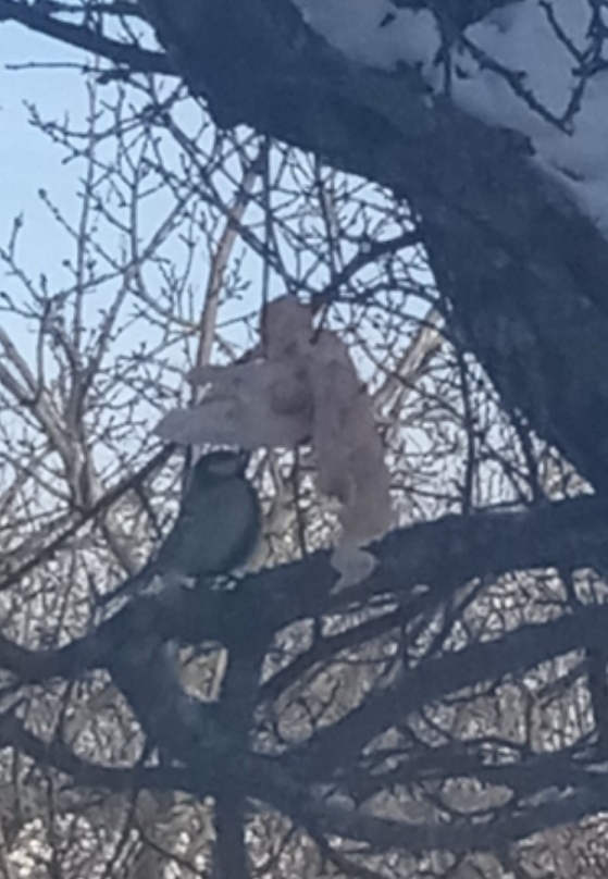 28 февраля 2025 года