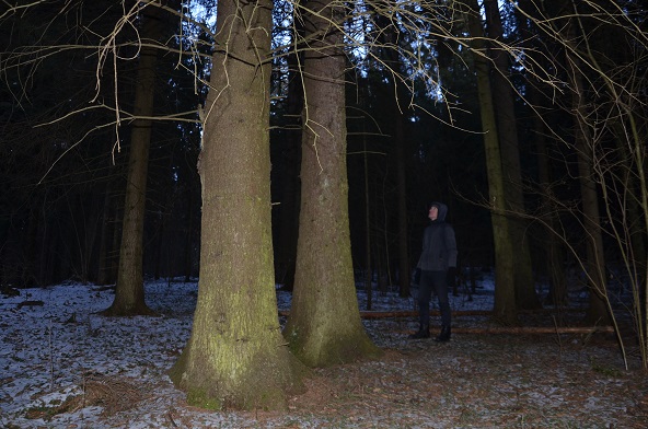 2025г. Вечно зима в душе томится. 1237