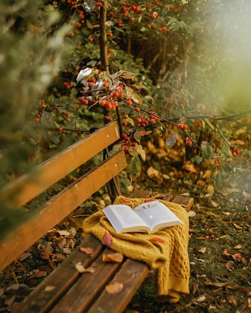 Хочется в осень