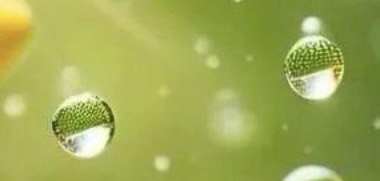 Том2глава2 продолжение