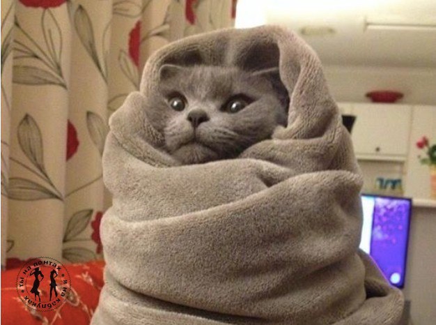 Эпиграмма на себя