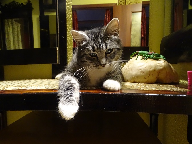 2025г. Нет, не она хотела ночью. 1241