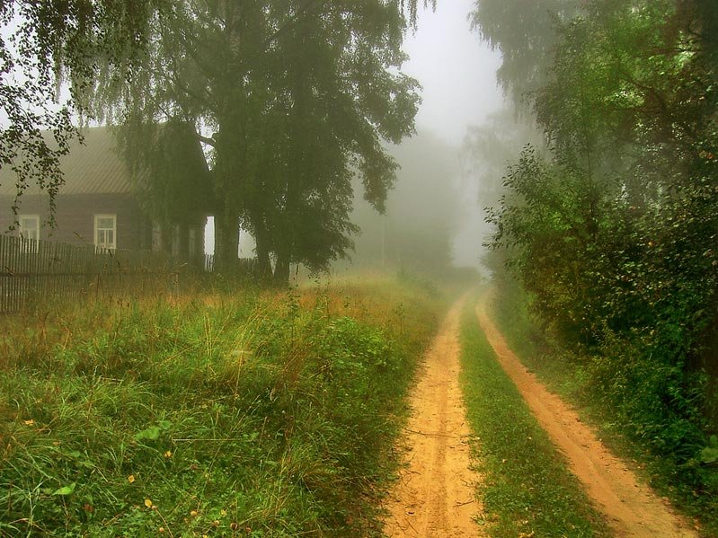 Дорога домой