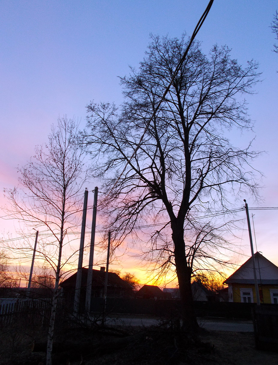 Куда жэ мы тратымо