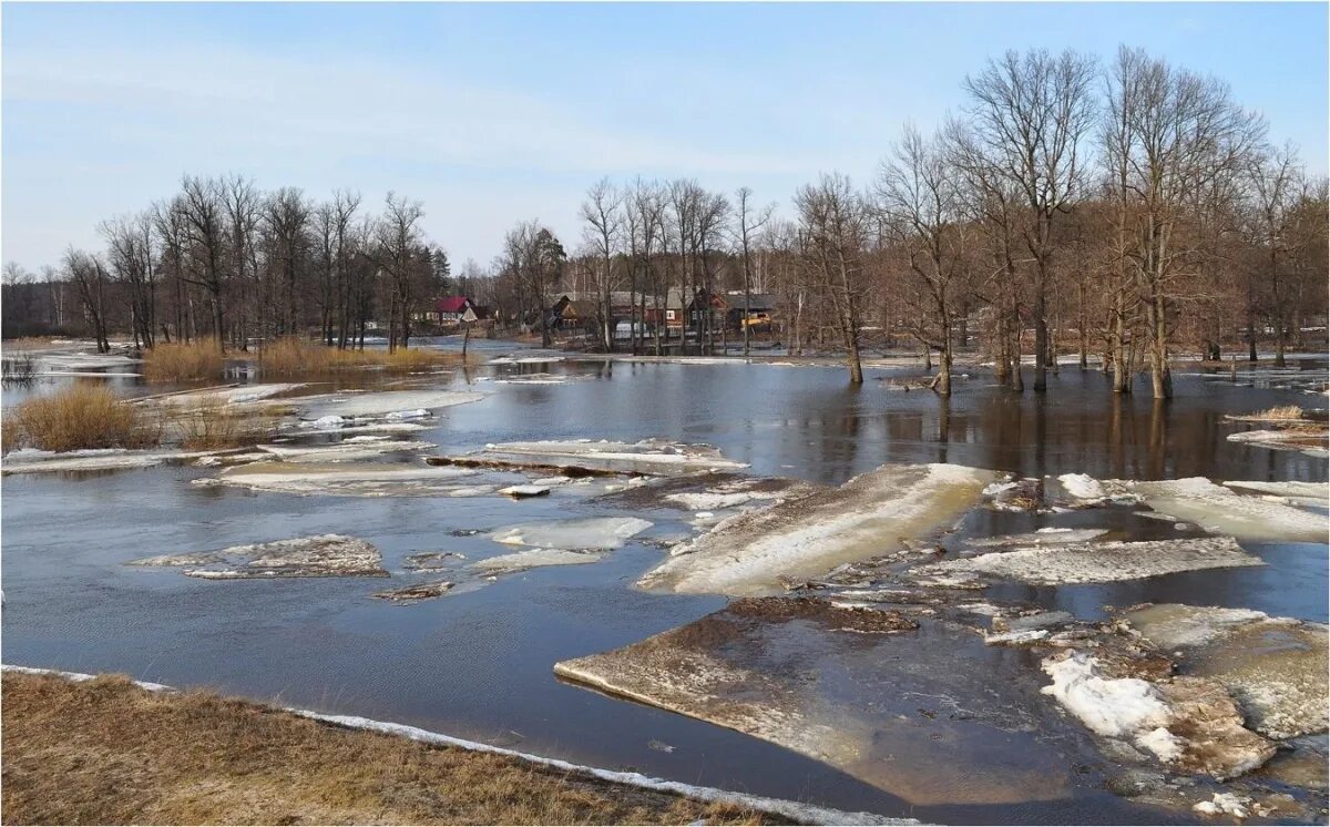 Сегодня на солнце пригрело...