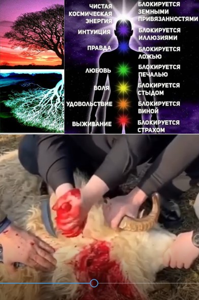 нефОшистам!