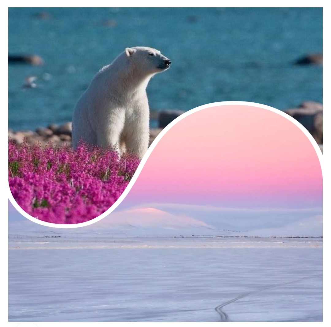 Чукотская сказка