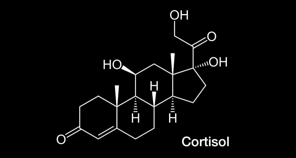 Бездонница