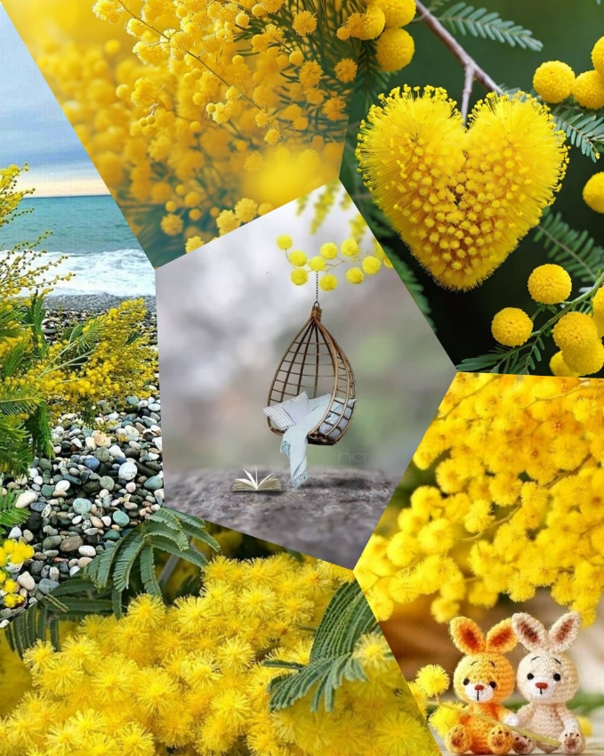 Чистый лист мимозы