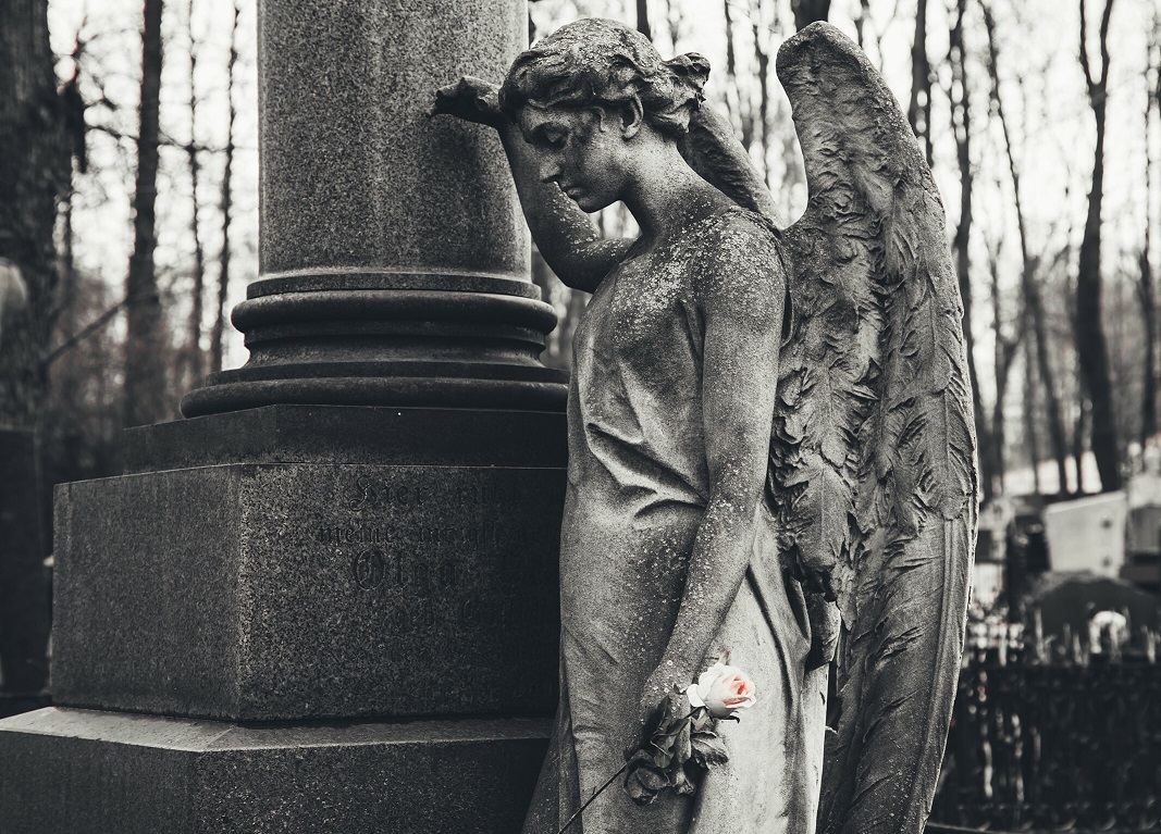 В саду камней