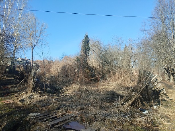 2025г. Сорвутся планы на субботу. 1242