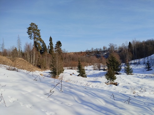 2025г. За сотню было у поэта. 1243