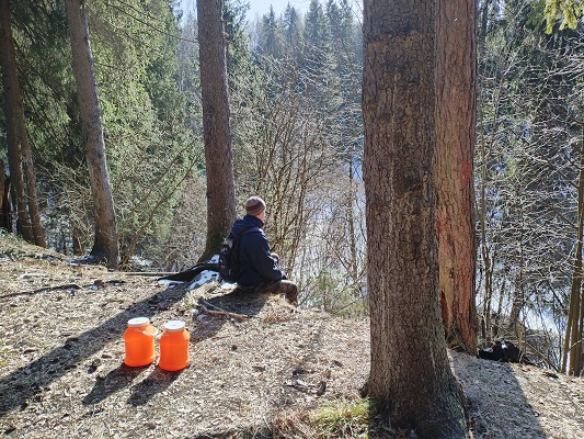 2025г. Затишье что ли перед бурей. 1244