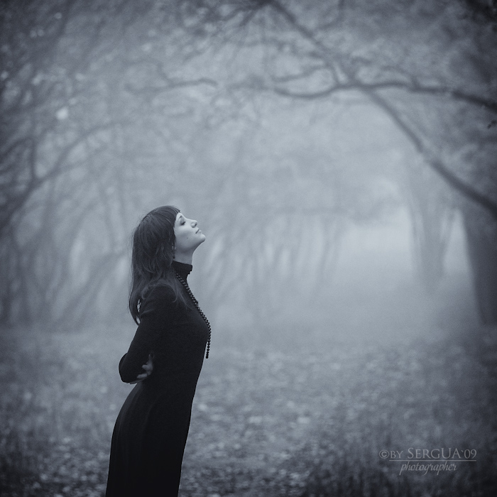 Молчи, и смотри на звезды!