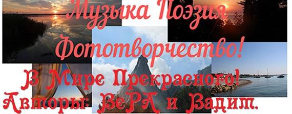 Новое Поле - Поле Дураков! 12. 03. 2025