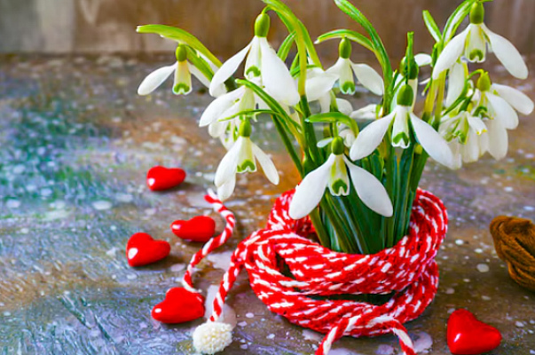 И подснежник зацвёл