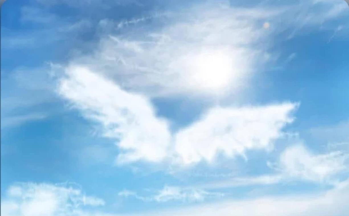 Как больно падать с высоты..!