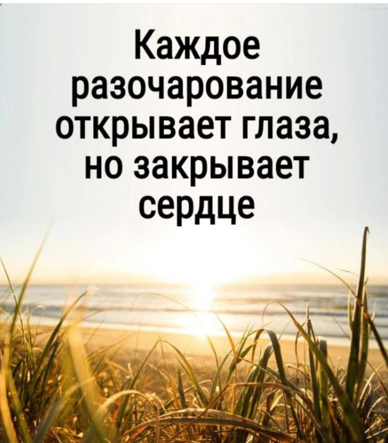 Доверие в подарок