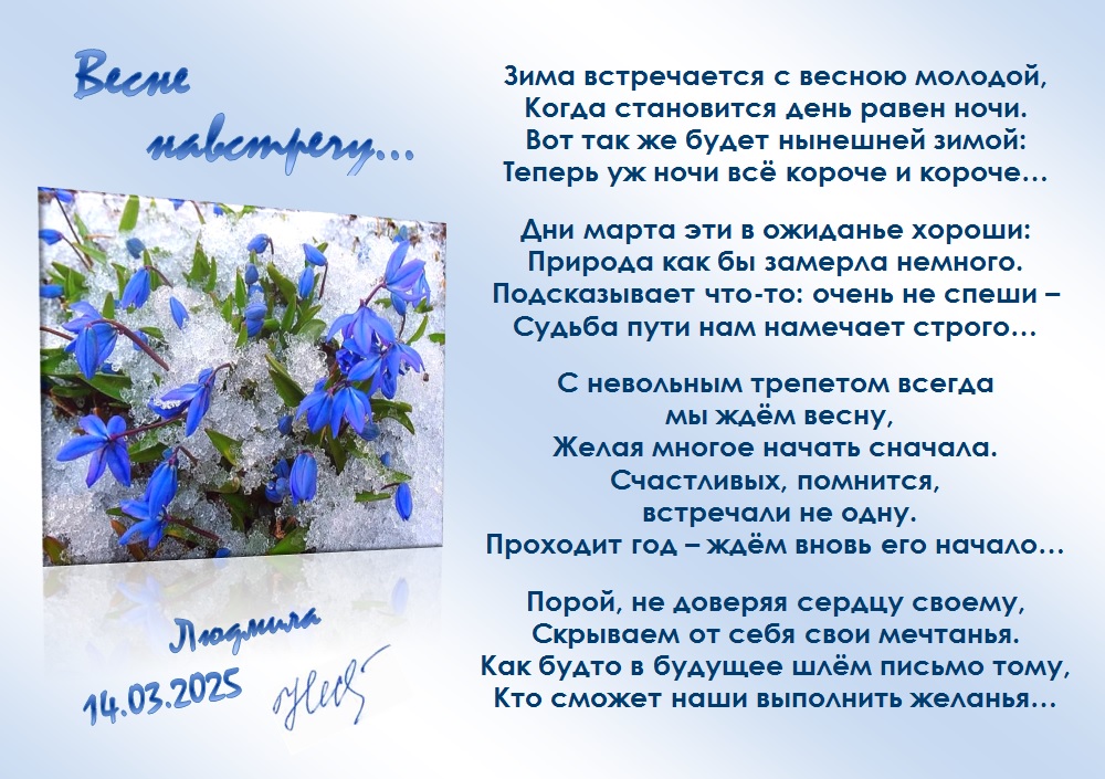 Весне навстречу...