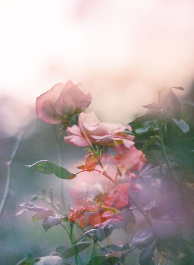 Дождь льет всю ночь