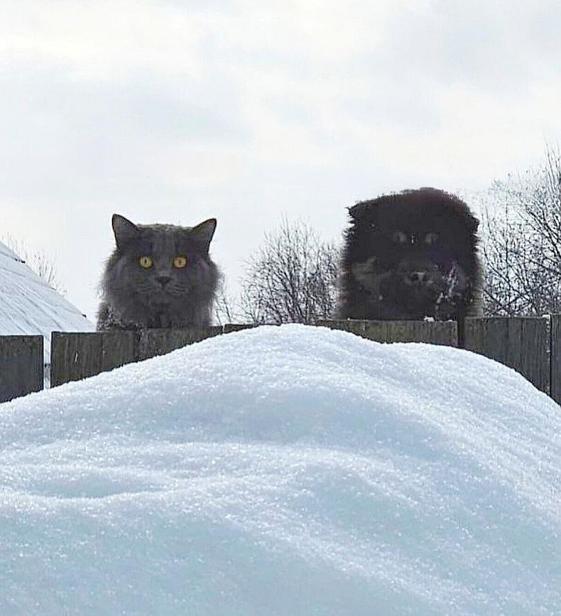 14 марта. Мои шалости
