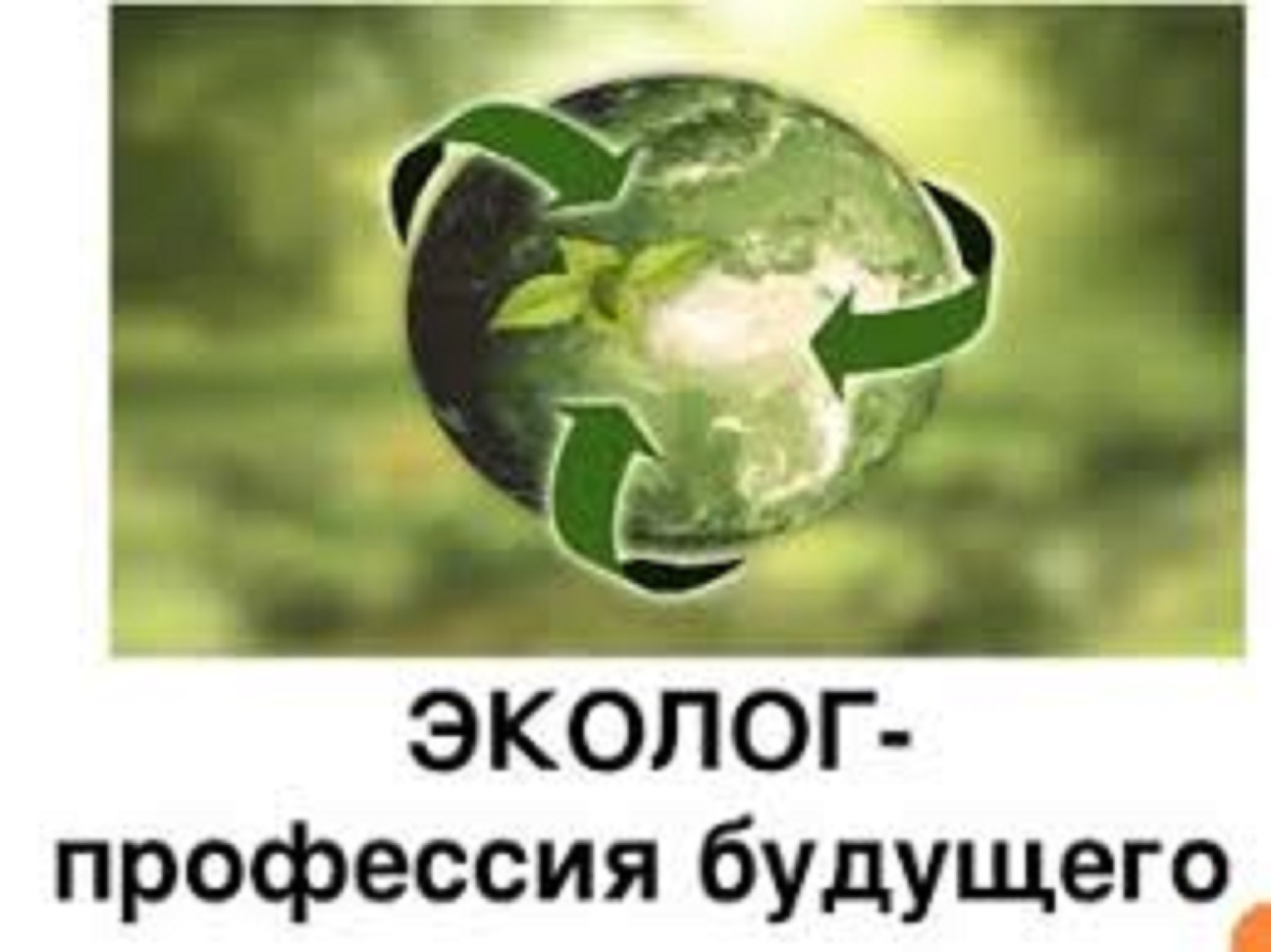 О специальности - Экология и природопользование