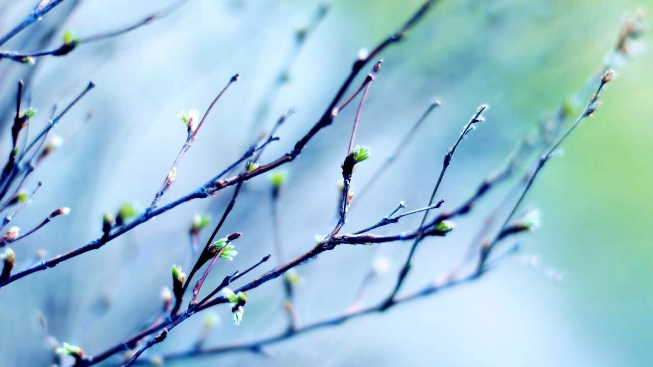 Весна уже недалеко