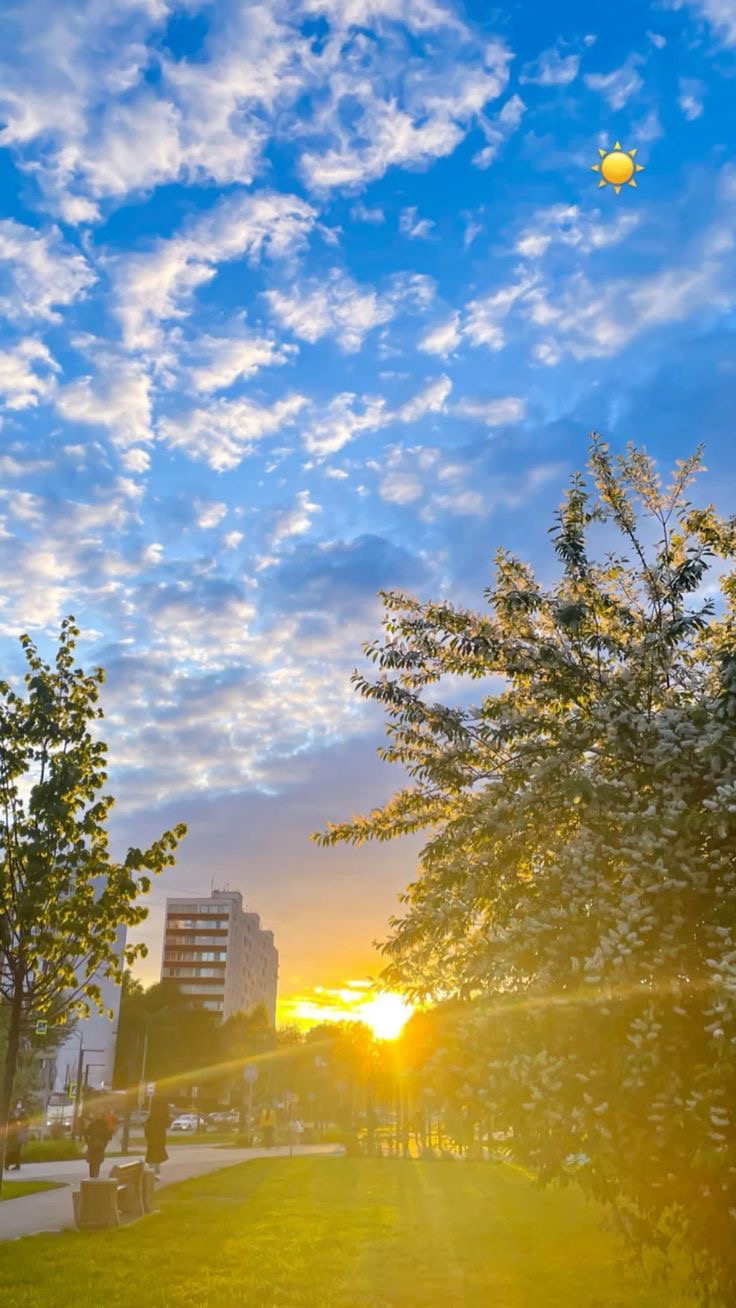 Счастливый миг