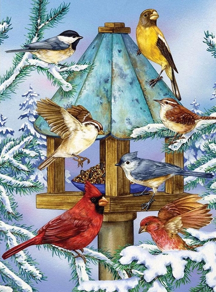 Пернатые друзья