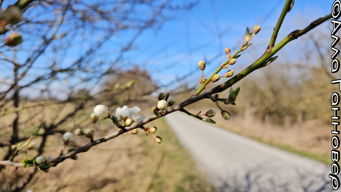 всё объяснимо, или гвоздь