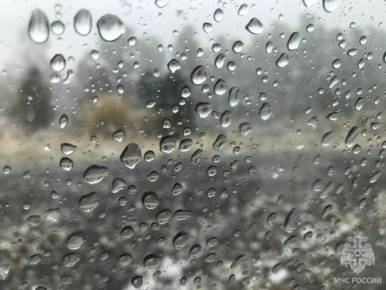 Шестнадцатое марта 2025 г