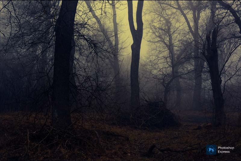 Девочка-заря