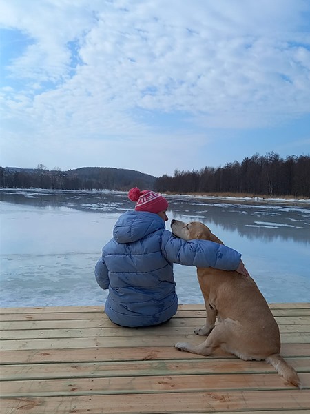 Посвящается собакам