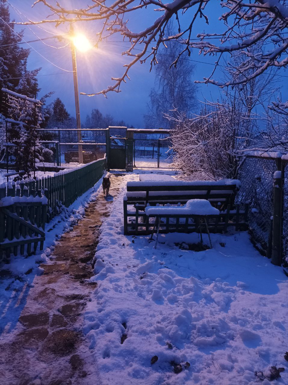 Письмо в рай