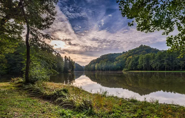 Природа - лучшее лекарство