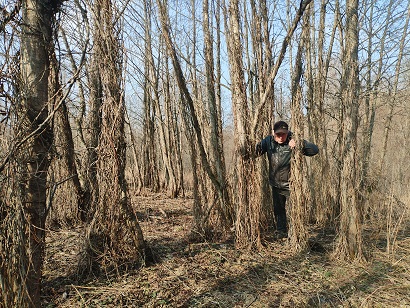 2025г. Ещё одно стихотворение. 1248