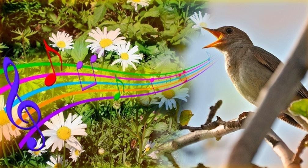 Запела птаха