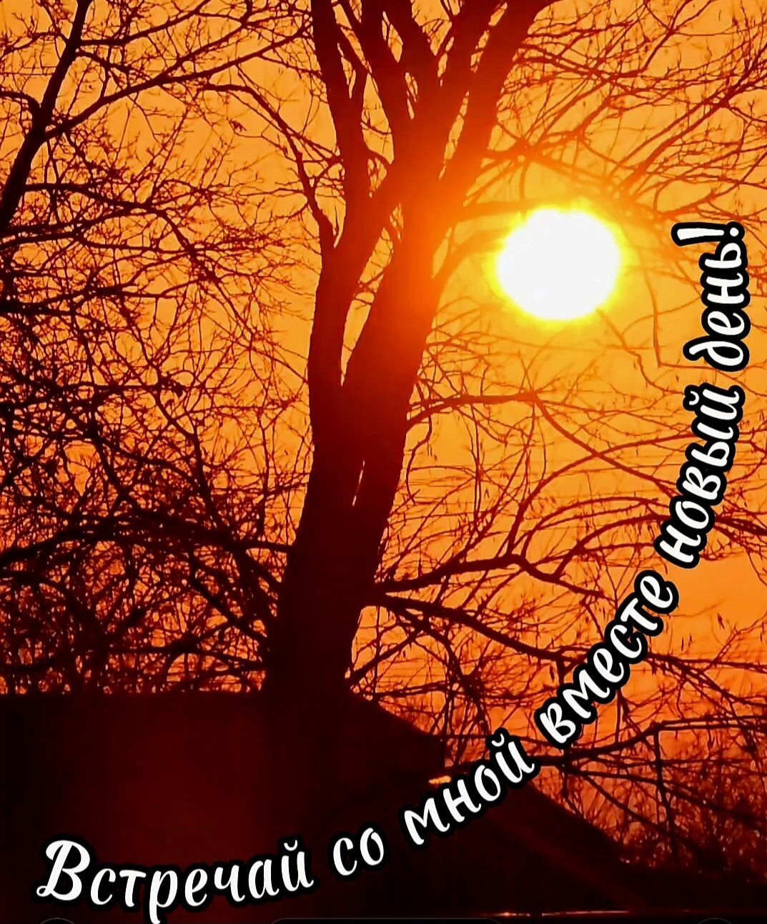 Утренняя зарисовка 69