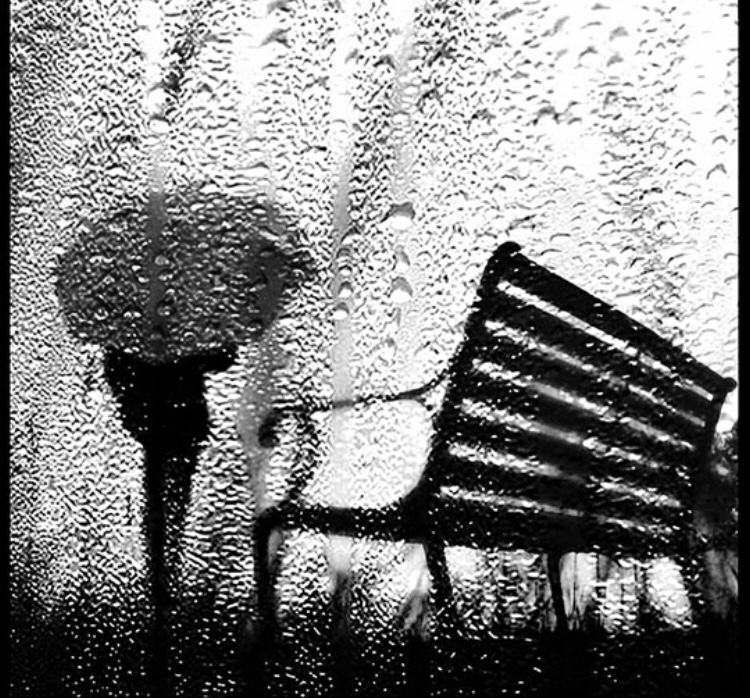 Приятен жизни путь...