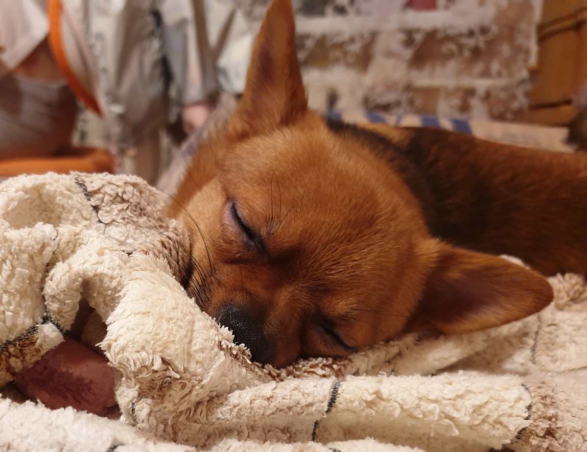 Случайно увидав тебя из далека