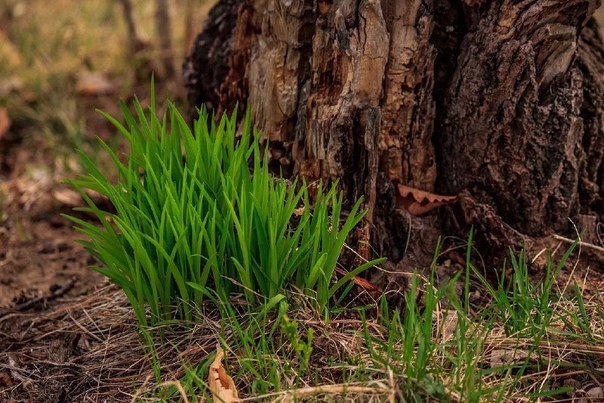 Что-то в дополнение...