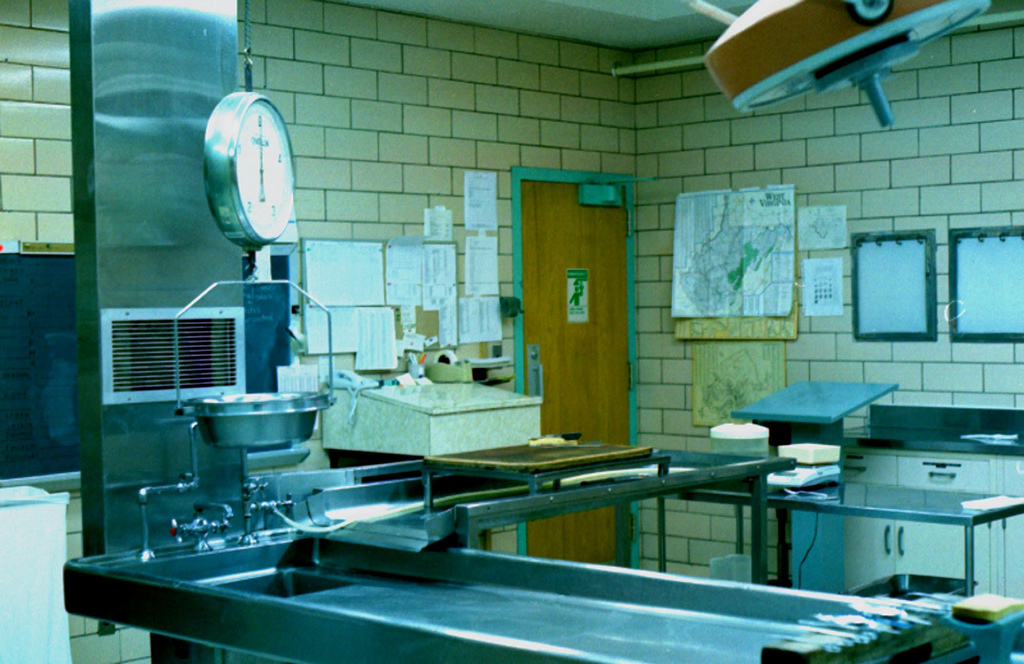 Впечатления выпускника медицинского колледжа