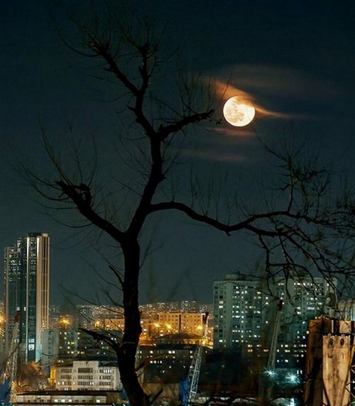 В полнолуние