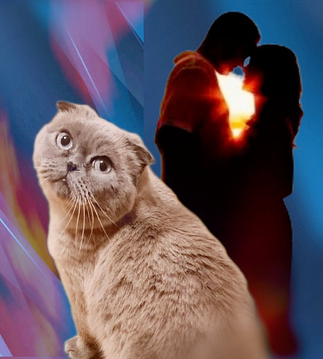 Смешная кошка