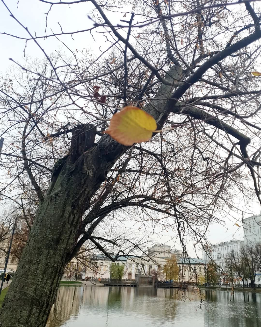 Обитель Друга