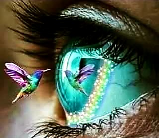 Алтарь Божественной Свободы